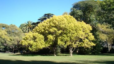 Colegio de Arquitectos de Mendoza (CAMZA)
