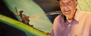 Colegio de Arquitectos de Mendoza (CAMZA)